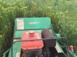 千葉県千葉市 黒川税理士事務所 草刈りの様子